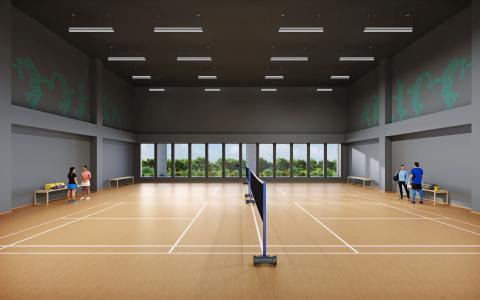 Badminton courts