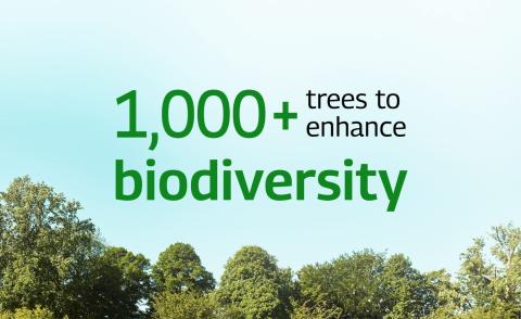 SustainabilityCards3