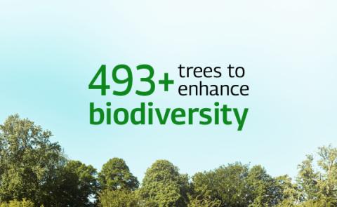 Citadel sustainability - 3