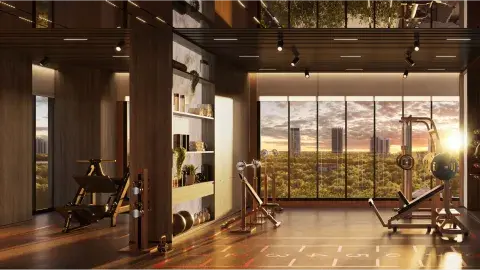 gym