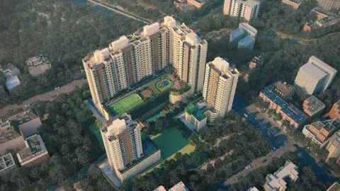 Top view