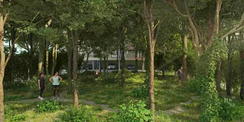 Miyawaki-Forest
