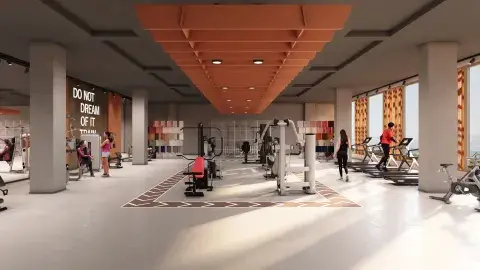 13 Gymnasium