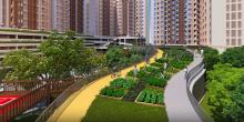 Organic Farming area