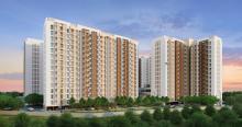 project listing 