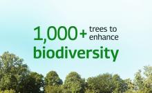 SustainabilityCards3