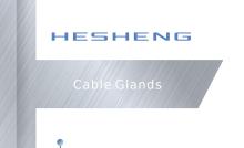 hesheng
