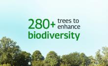 Biodiversity card
