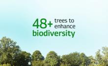 Biodiversity card