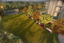 Event Lawn