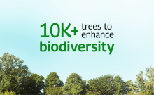 Sustainability Crads_Final-4