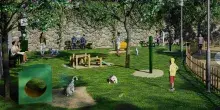 6 Pet park