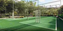 7 Cricket nets