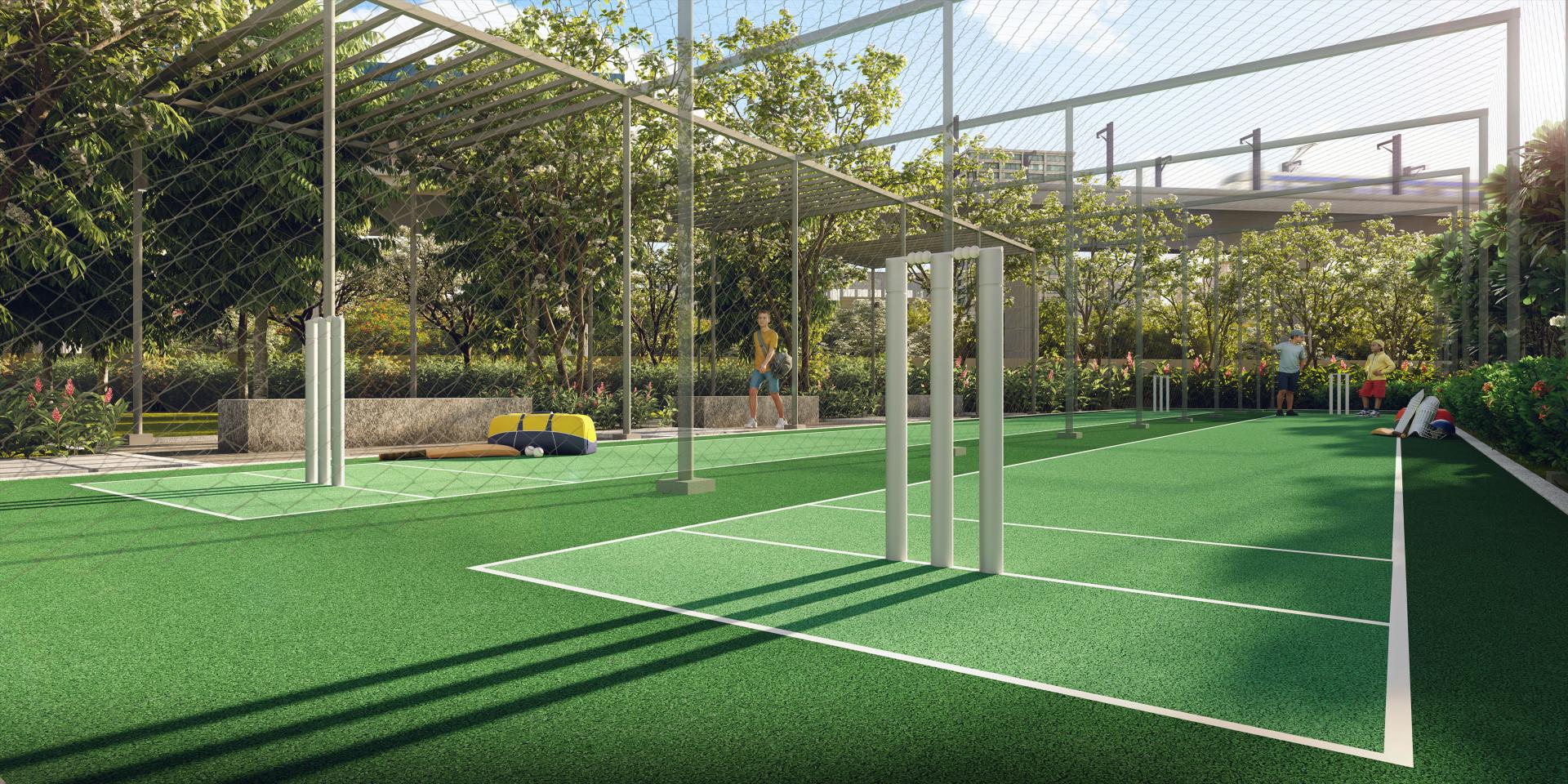 Cricket nets